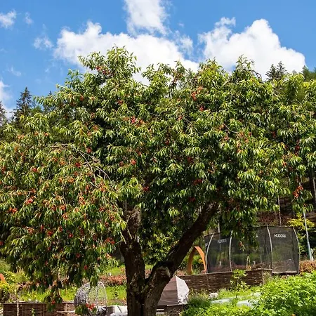 Διαμέρισμα Holzwerk *