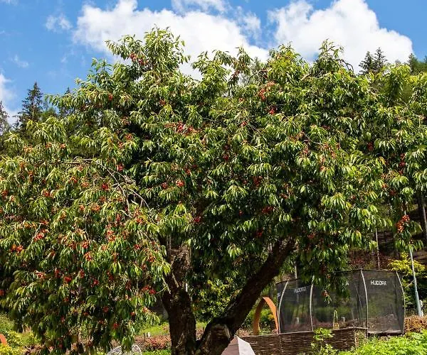 Apartamento Holzwerk *